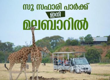 Taliparum Zoo Safari Park: Proceedings